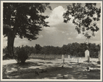 Tenant farmers' cemetery. Mississippi