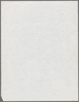 Outline for The Bonfire of the Vanities