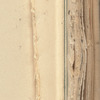 Commonplace book, Holograph