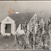 House at Tupelo, Miss