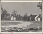 View of Tupelo Homesteads Project, Mississippi