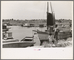 Fishing boats that have helped provide a supplementary income for many of the former sugarcane growers in this section of Louisiana