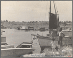 Fishing boats that have helped provide a supplementary income for many of the former sugarcane growers in this section of Louisiana