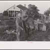 Tenant farmer with mule given him by the Resettlement Administration, Plaquemines Parish, Louisiana