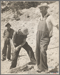 Resettled farmers working in sand pit. Cumberland Farms, Alabama. 1935