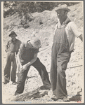 Resettled farmers working in sand pit. Cumberland Farms, Alabama. 1935
