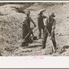 Farmers who have been resettled at Skyline Farms, at work in sand pit