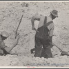Resettled farmers working in sand pit. Cumberland Farms, Alabama. 1935