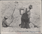 Resettled farmers working in sand pit. Cumberland Farms, Alabama. 1935