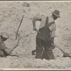 Resettled farmers working in sand pit. Cumberland Farms, Alabama. 1935