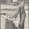 Cutting wood for shingles, Jackson County, Alabama