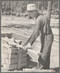 Cutting wood for shingles, Jackson County, Alabama