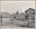 Sharecropper's farm, Tangipahoa, La.?