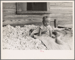 Son of sharecropper who will be resettled on the Irwinville Farms Project, Georgia