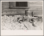 Son of sharecropper who will be resettled on the Irwinville Farms Project, Georgia