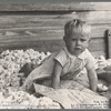 Son of sharecropper who will be resettled on the Irwinville Farms Project, Georgia