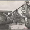 Sawmill worker, Irwin County, Georgia