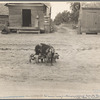 Old harness house, and mother pig and young. Irwinville Farms, Georgia. 1935