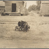 Old harness house, and mother pig and young. Irwinville Farms, Georgia. 1935