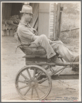 Irwinville Farms, Georgia. Man driving "Hoover cart."