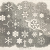 Crystals of snow