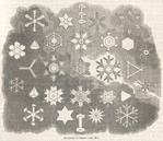 Crystals of snow