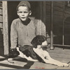 Son of Fannie Corbin, Shenandoah Natlional Park, Virginia