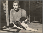 Son of Fannie Corbin, Shenandoah Natlional Park, Virginia