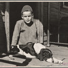 Son of Fannie Corbin, Shenandoah Natlional Park, Virginia