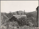 Farm buildings. Shenandoah National Park, [Madison Co.?,] Virginia. 1935