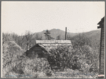 Farm buildings. Shenandoah National Park, [Madison Co.?,] Virginia. 1935