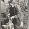 Chopping wood for the schoolteacher, [Corbin Hollow?,] Shenandoah National Park, Virginia