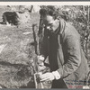 Chopping wood for the schoolteacher, [Corbin Hollow?,] Shenandoah National Park, Virginia
