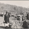 Shenandoah Natl. Park, [Madison Co.?,] Va. 1935