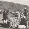 Shenandoah Natl. Park, [Madison Co.?,] Va. 1935