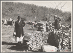 Shenandoah Natl. Park, [Madison Co.?,] Va. 1935