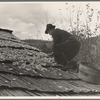 Drying apples, one of the few sources of income for the mountain folk, [Nicholson Hollow,] Shenandoah National Park, Virginia