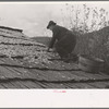 Drying apples, one of the few sources of income for the mountain folk, [Nicholson Hollow,] Shenandoah National Park, Virginia