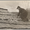 Drying apples, one of the few sources of income for the mountain folk, [Nicholson Hollow,] Shenandoah National Park, Virginia