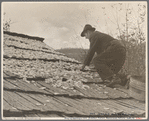 Drying apples, one of the few sources of income for the mountain folk, [Nicholson Hollow,] Shenandoah National Park, Virginia