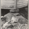 Cornerstone of church at Nicholson Hollow, Virginia