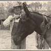 Resettled farmer clipping mule, Grady County, Georgia