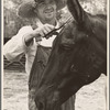 Resettled farmer clipping mule, Grady County, Georgia