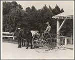 Resettlement client [Fuquay Springs, North Carolina]