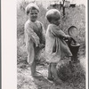 Children of sharecropper, North Carolina