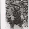 Sharecropper and tenant farmer, North Carolina