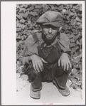 Sharecropper and tenant farmer, North Carolina