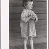 Children of sharecropper, North Carolina