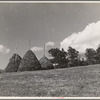 Hay field near Sperryville, Virginia