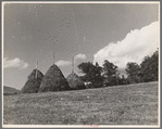 Hay field near Sperryville, Virginia